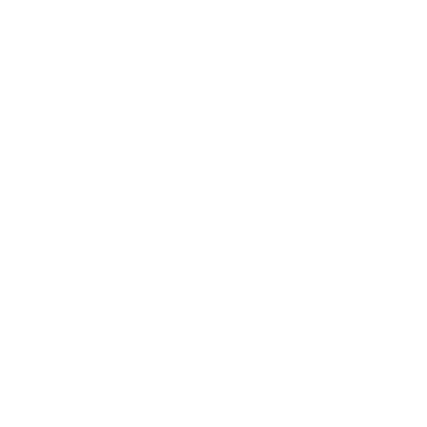 Xenovate Logo